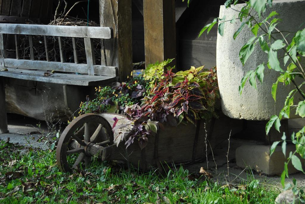 Guesthouse Novak Dvor エクステリア 写真