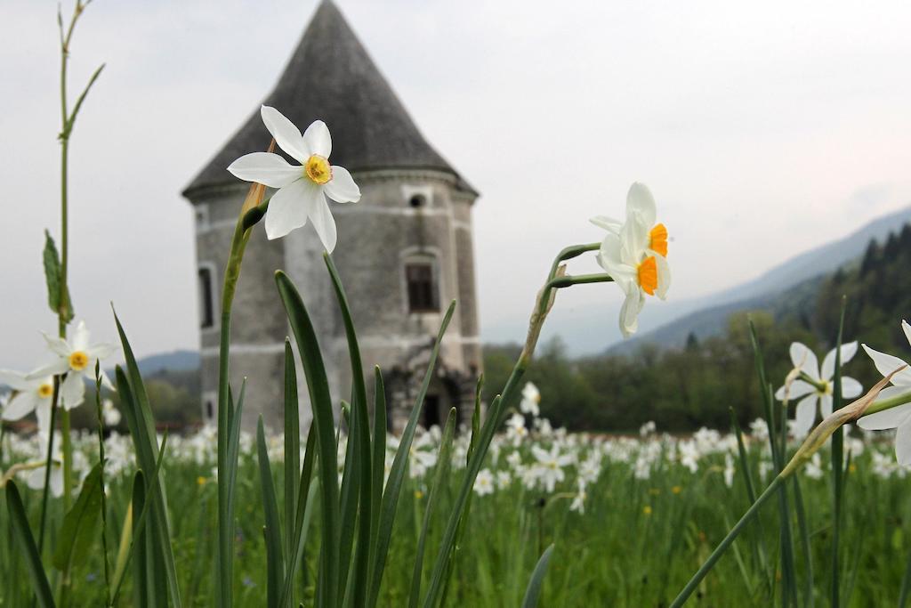 Guesthouse Novak Dvor エクステリア 写真